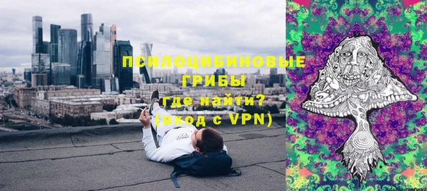 бошки Горнозаводск