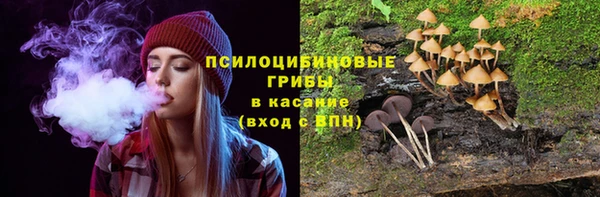 первитин Горняк