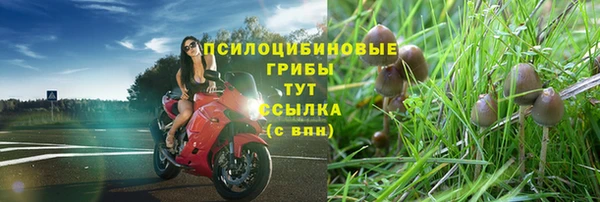 бошки Горнозаводск