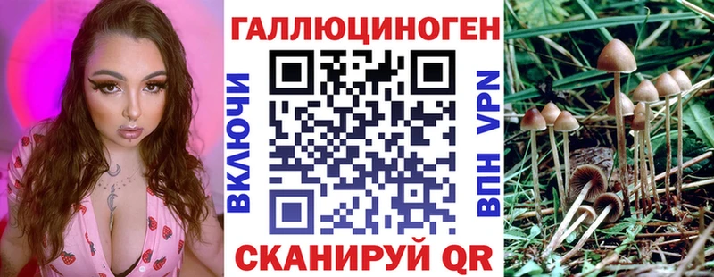 купить   Мончегорск  Галлюциногенные грибы мицелий 